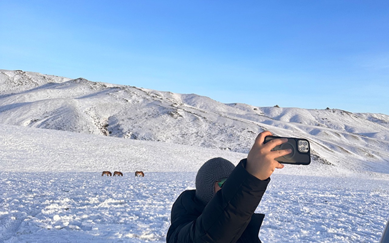 Meeting the majestic Takhi Przewalski horse in Hustai National park. 🐴🌿 #PrzewalskiHorse #WildlifeEncounter | Premium Travel Mongolia